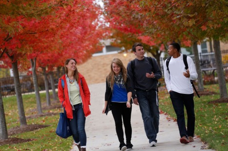 students-in-fall